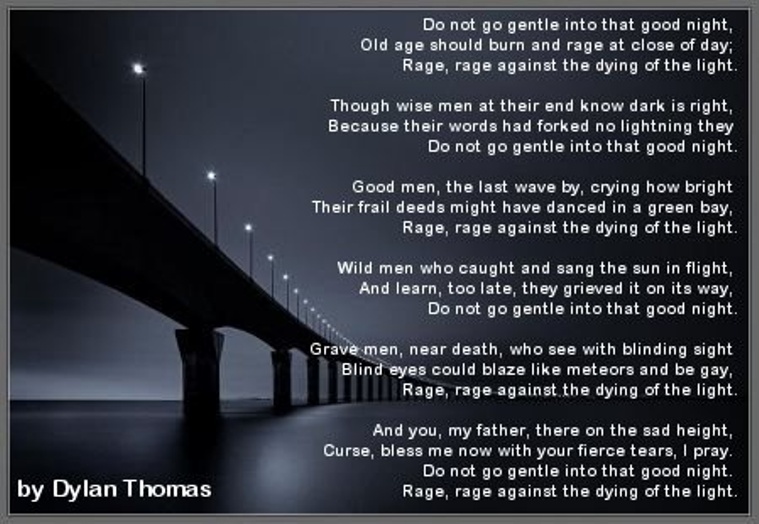 do not go gentle into that good night by dylan thomas essay